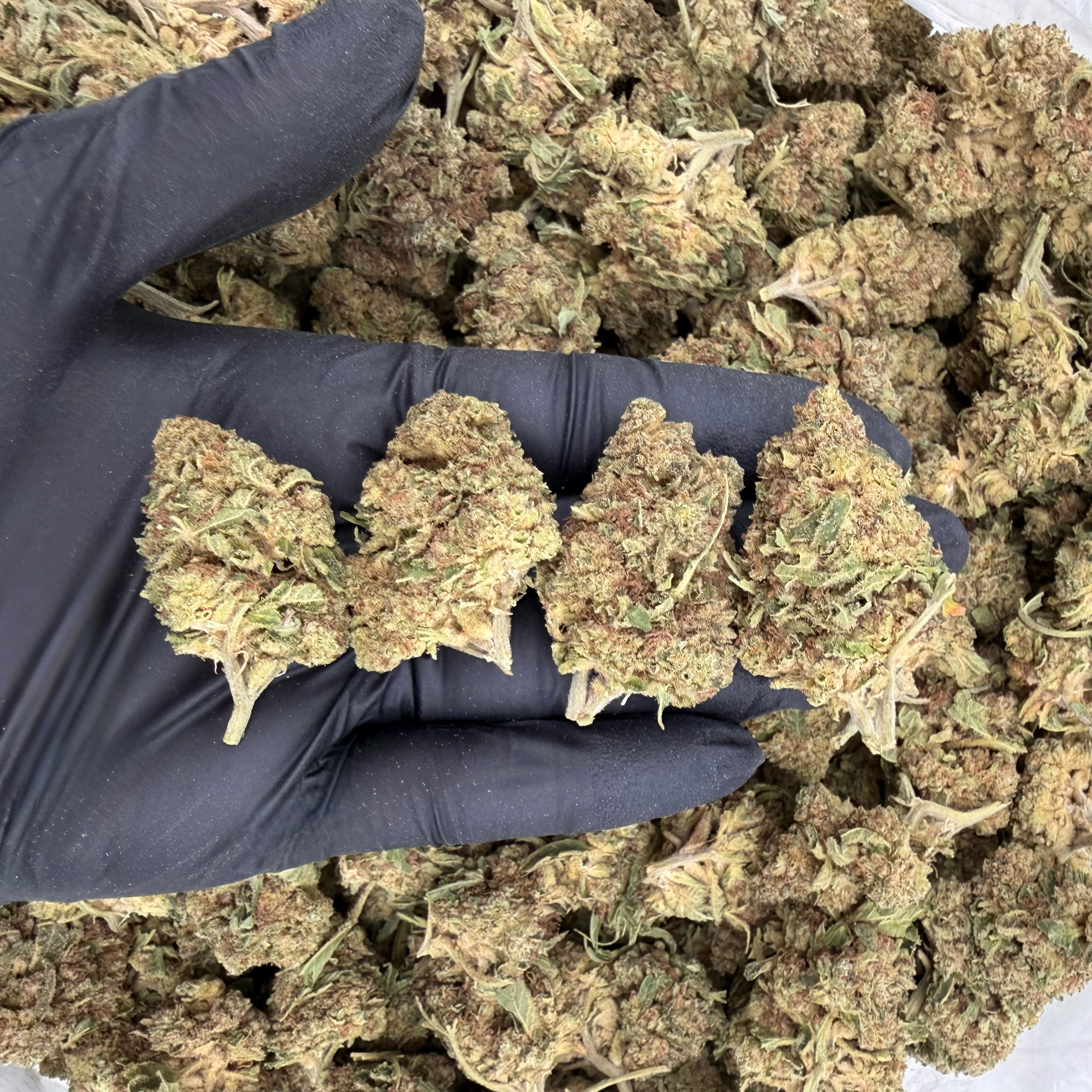 LA Kush Cake